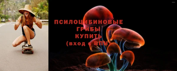 Альфа ПВП Верея