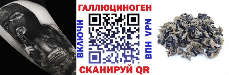 kraken рабочий сайт  Западная Двина  Галлюциногенные грибы мицелий 